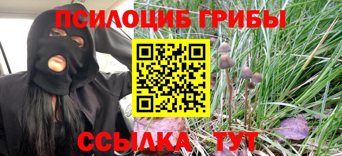 Галлюциногенные грибы Magic Shrooms Норильск