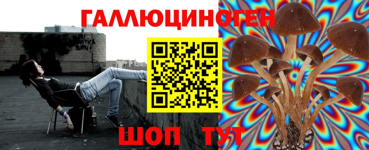 Галлюциногенные грибы MAGIC MUSHROOMS  Вход с VPN  Норильск  наркошоп  Псилоцибиновые грибы GOLDEN TEACHER 